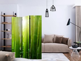 Artgeist Paraván - Sun and bamboo [Room Dividers]