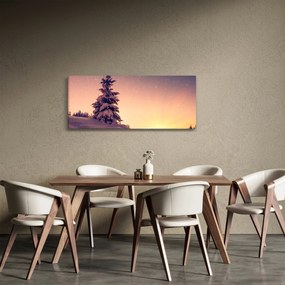 Obraz zasneženého stromu na lúke (120x50 cm)