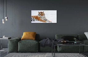 Sklenený obraz Tiger winter 120x60 cm