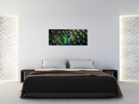 Obraz – Páv (120x50 cm)