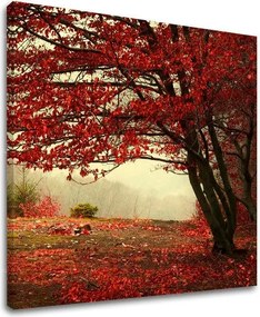 Obraz na stenu STROMY ST017E12