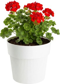 PLASTOVÝ KVETINÁČ SILVA LINE 20X17,5 CM KRÉMOVÁ