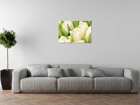 Gario Obraz s hodinami Jemné tulipány Rozmery: 100 x 40 cm