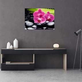 Sklenený obraz - Ružové orchidey s palmovým listom (70x50 cm)