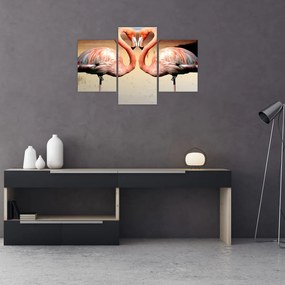 Obraz - dva plameniaky (90x60 cm)