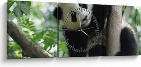 Obraz - Panda na strome (s hodinami) (90x30 cm)
