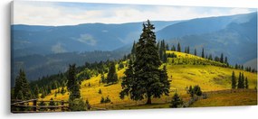 Obraz - Horská lúka (120x50 cm)