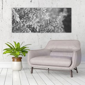 Obraz - Smrekový les (120x50 cm)