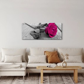 Obraz - Ružová ruža (120x50 cm)
