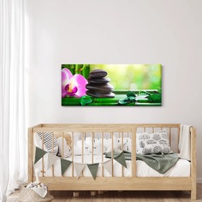Obraz masážnych kameňov a orchidey na vode (120x50 cm)