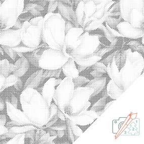Gario Bodkovanie Kvetinové pozadie Magnólie Rozmery: 50 x 50 cm, Rámovanie: S vnútorným rámom, Farba bodiek: Červená