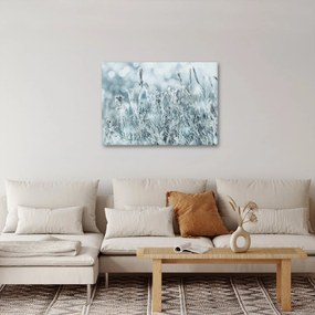 Obraz - Kúzlo zimy (70x50 cm)