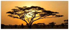 Obraz - Africká savana (120x50 cm)