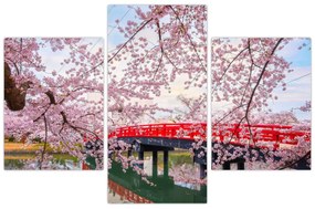 Obraz - Hirosaki, Japonsko (90x60 cm)