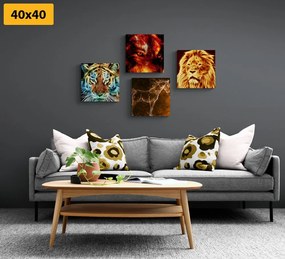 Set obrazov tajomná abstrakcia zvierat Varianta: 4x 40x40
