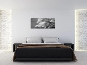 Obraz - bunny tail grass na stole (120x50 cm)