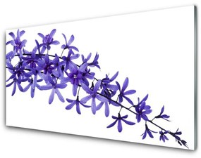 Skleneny obraz Kvety rastliny príroda 140x70 cm