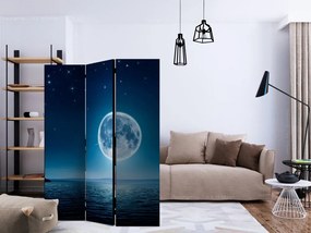 Artgeist Paraván - Moonlit night [Room Dividers]