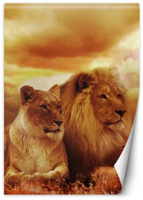 Fototapeta, Kočky lev pár zvířat - 200x280 cm