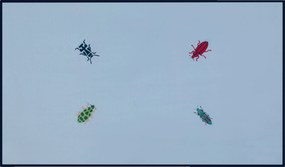 Obrus Bugging You