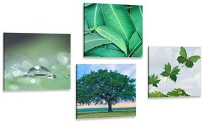 Set obrazov príroda plná zelene