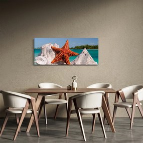 Obraz morskej hviezdice (120x50 cm)