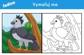 Omaľovánky – balík 2(20ks) – platený