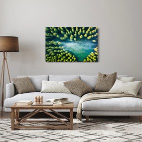 Obraz - Hmlou zahalený les (90x60 cm)