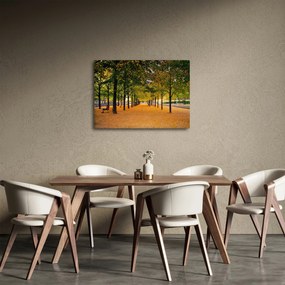 Obraz aleje jesenných stromov (70x50 cm)
