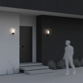 Maytoni O418WL-01B - Vonkajšie nástenné svietidlo WILLIS 1xE27/60W/230V IP54 čierna