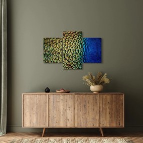 Obraz - Pávie perie (90x60 cm)