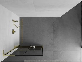 Mexen Kioto+ L, sprchová zástena Walk-In s poličkou a vešiakom 80 x 200 cm, 8mm číre sklo čierny vzor, zlatý lesklý profil,800-080-123-50-77
