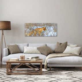 Obraz - Lišiak (120x50 cm)