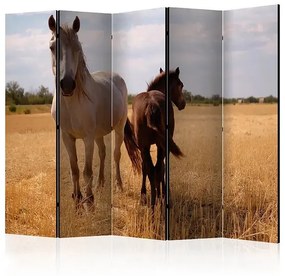 Paraván - Horse and foal II [Room Dividers] Veľkosť: 225x172, Verzia: Akustický