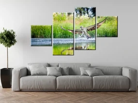 Gario Obraz na plátne Orliak morský poľuje - 4 dielny Rozmery: 160 x 90 cm