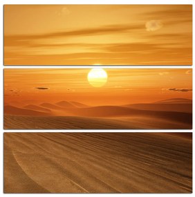 Obraz na plátne - Púštny západ slnka - štvorec 3917D (60x60 cm)