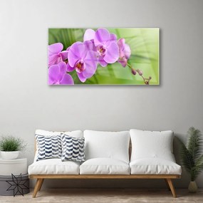 Skleneny obraz Vstavač orchidea kvety 125x50 cm