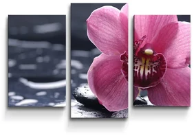 Sablio Obraz - 3-dílný Orchidea - 75x50 cm