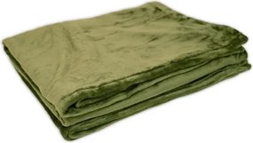 Deka Wilkendorf, zelená, cashmere touch%