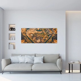 Obraz - Rieka v tvare srdca (120x50 cm)