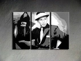 Ručne maľovaný POP Art obraz Frank Sinatra sin | rôzne rozmery