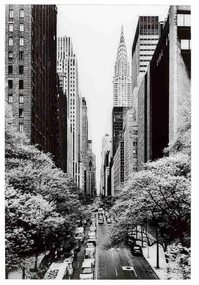 Street Of NY sklenený obraz čiernobiely 120x80 cm