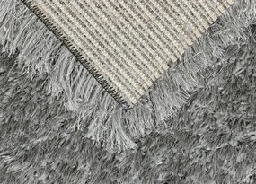 Koberce Breno Kusový koberec RHAPSODY 25-01/906, strieborná,80 x 140 cm