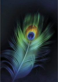 Plátno maľba Peacock Eye
