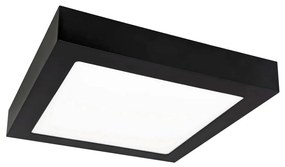LED Stropné svietidlo FENIX LED/12W/230V 3800K 17 cm