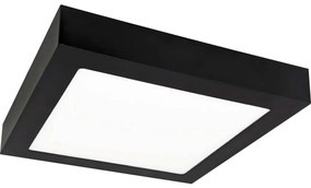 LED Stropné svietidlo FENIX LED/12W/230V 3800K 17 cm