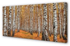 Obraz canvas jesenné stromy 120x60 cm