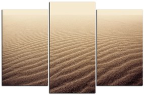 Obraz na plátne - Piesok v púšti 1127C (105x70 cm)
