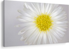 Obraz - Margarita (90x60 cm)