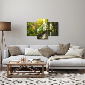 Obraz chameleóna (90x60 cm)
